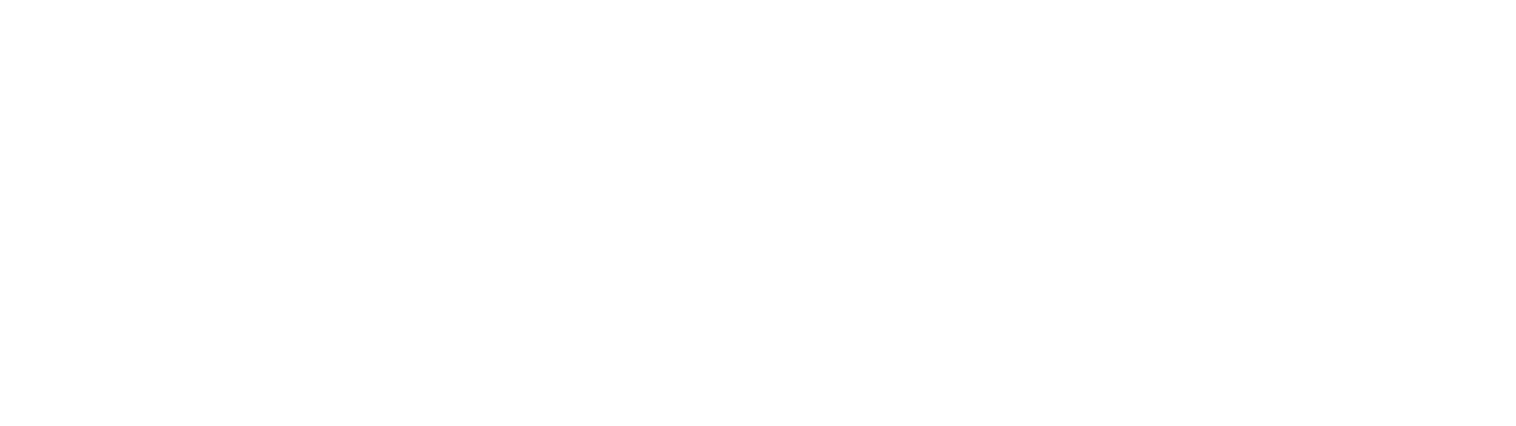 Élite Magnética Logo