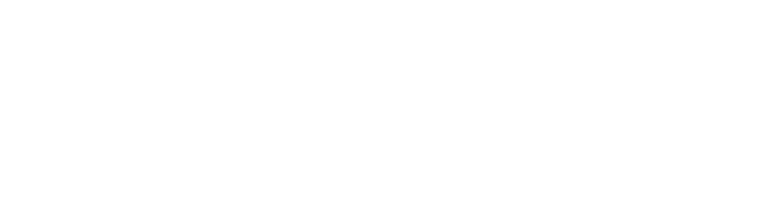 Élite Magnética